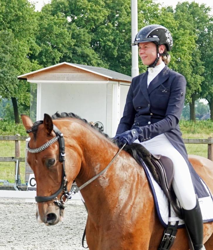 Ervaren instructeur aangeboden, Diensten en Vakmensen, Dieren | Paarden | Verzorging, Oppas en Les