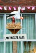 Te huur : Landingsplaats + ooievaar + pop, Kinderen en Baby's, Ophalen, Gebruikt