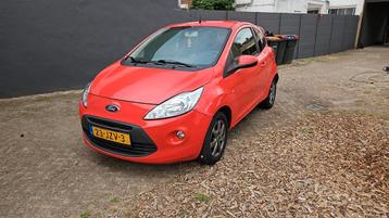 Ford Ka 1.2 51KW 2009 Rood beschikbaar voor biedingen