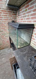 Te koop leeg aquarium, Dieren en Toebehoren, Ophalen