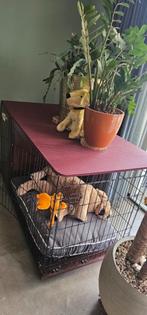 hondenbench mueble van Omlet, Dieren en Toebehoren, Ophalen, Zo goed als nieuw