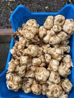 Aardperen, Ophalen of Verzenden