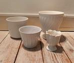 Bloempotten wit Vintage Retro, Ophalen of Verzenden, Overige soorten, Halfschaduw, Minder dan 100 cm