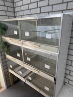 Broedkooien, Dieren en Toebehoren, Vogels | Hokken en Kooien, Ophalen, Gebruikt, Aluminium, Broedkooi of Kweekkooi