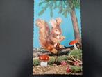 Eekhoorn/paddenstoelen in het bos, mooi stempel Zutphen,64., Verzamelen, Ansichtkaarten | Dieren, Verzenden, 1960 tot 1980, Gelopen