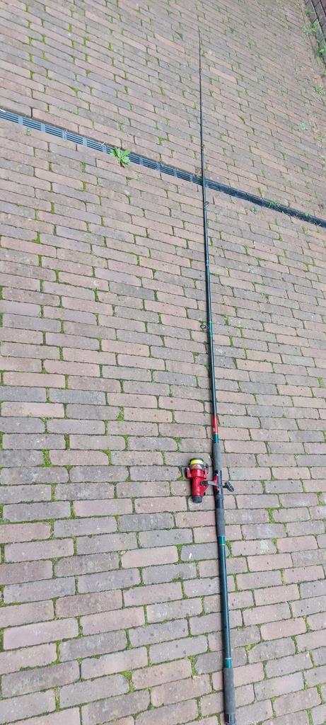 Complete Vishengel met Molen, Watersport en Boten, Hengelsport | Algemeen, Gebruikt, Complete hengel, Ophalen