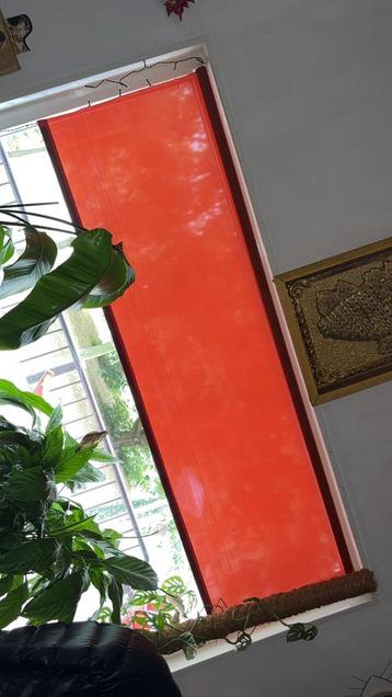 Rolgordijn bordeaux/rood beschikbaar voor biedingen