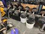 Lifemaxx beschadigde dumbells tussen de 24 en 36 kg gewicht, Sport en Fitness, Ophalen, Dumbbell, Gebruikt, 24 tot 36 kg
