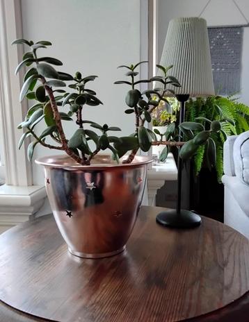 Bloempot sterren - roodkoper bloempot met uitgeperste sterre beschikbaar voor biedingen