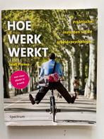 Boek Hoe werk werkt - Jolet Plomp (arbeidspsychologie), Ophalen of Verzenden, Zo goed als nieuw