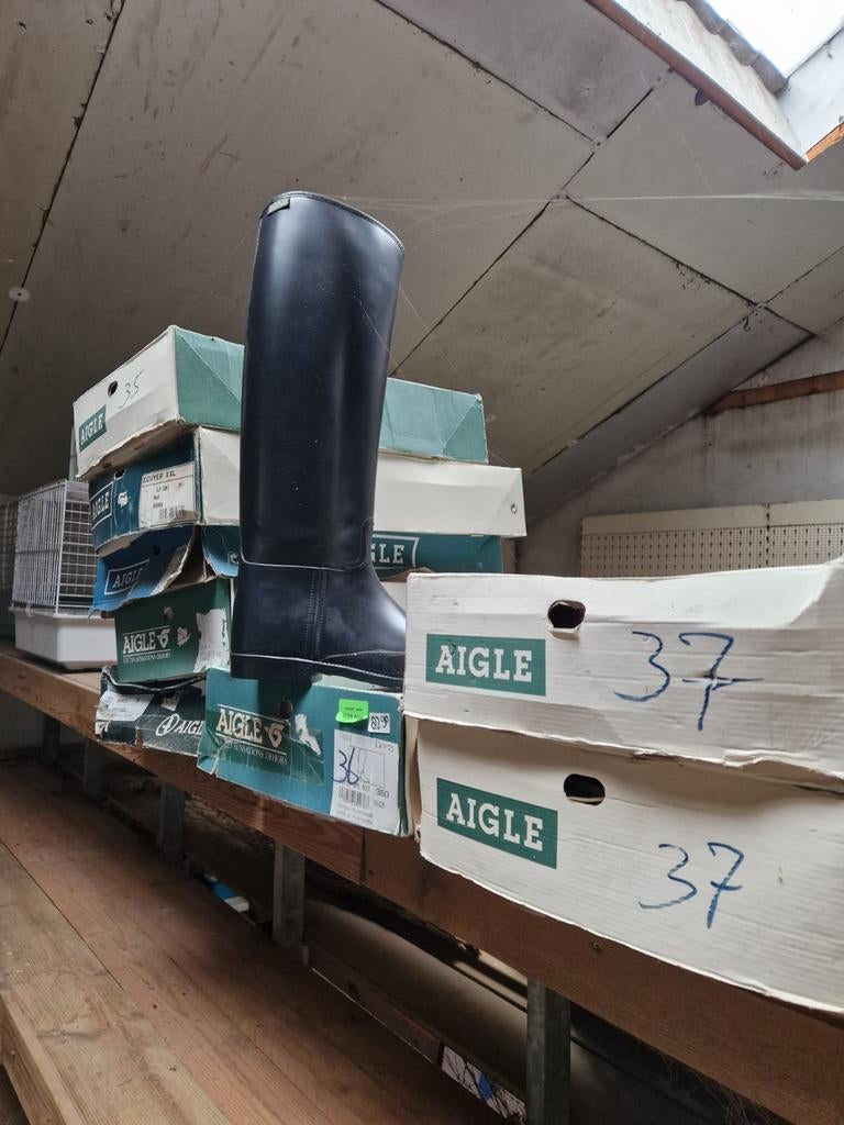 Aigle Rijlaarzen - Perfect voor paardrijden!, Dieren en Toebehoren, Paardrijkleding, Ophalen of Verzenden, Zo goed als nieuw, Dressuur