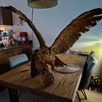 Opgezette Buizerd - Prachtig Decoratiestuk, Ophalen