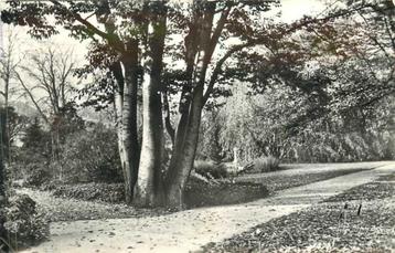 (380-040-011) Leiden Hortus Botanicus beschikbaar voor biedingen