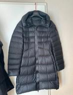 Peuterey dames winterjas, Kleding | Dames, Jassen | Winter, Ophalen of Verzenden, Zo goed als nieuw, Zwart