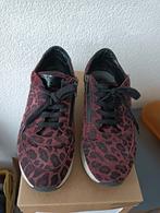 Red Rag sneakers, maat 39. Bordeauxrood met panterprint, Kleding | Dames, Schoenen, Ophalen of Verzenden, Sneakers of Gympen, Red Rag
