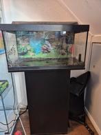 Tetra aquarium 54 liter met toebehoren, Dieren en Toebehoren, Ophalen of Verzenden, Gebruikt, Leeg aquarium