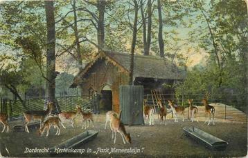 (300-455-037) Dordrecht Hertenkamp beschikbaar voor biedingen