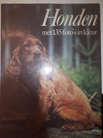 Honden met 135 foto's in kleur  beschikbaar voor biedingen
