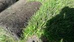 verse Graszoden grasmatten gras gazon  grasrollen, grasrol, Nieuw, Ophalen of Verzenden, Gras