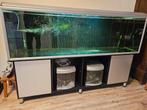 Akvastabil 200x60x60 inclusief onderkast en techniek, Gebruikt, Ophalen of Verzenden, Leeg aquarium