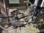 Gazelle Bloom Female Bike, Fietsen en Brommers, Fietsen | Dames | Moederfietsen, Ophalen, Gebruikt, 56 cm of meer, Mandje