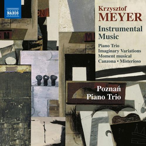 NIEUW Meyer: Instrumental Music / Poznan Piano Trio, Cd's en Dvd's, Cd's | Klassiek, Nieuw in verpakking, Kamermuziek, Modernisme tot heden