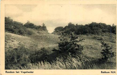 (381-129-003) Bakkum Rondom het Vogelwater, Verzamelen, Ansichtkaarten | Nederland, Noord-Holland, Ophalen of Verzenden