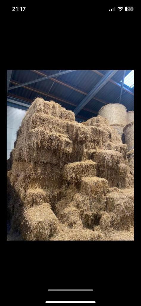 Kleine Baaltjes Hooi & Luzerne, Dieren en Toebehoren, Dierenvoeding, Vee, Ophalen
