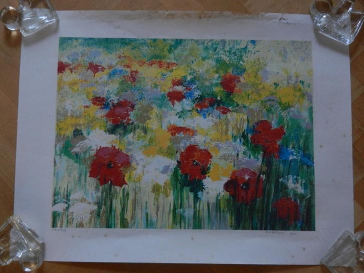 Prachtige zeefdruk Klaprozen Maya Wildevuur 45,7x61,7 z lijs, Antiek en Kunst, Kunst | Litho's en Zeefdrukken, Ophalen of Verzenden