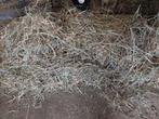 Midibalen hooi, Dieren en Toebehoren, Dierenvoeding, Ophalen, Vee
