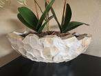 Mooie Schelpen Vaas met Bloemstuk - Perfecte Staat!, Ophalen of Verzenden, Zo goed als nieuw, Wit, Overige materialen