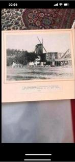 Oude Foto Zaandam - Oliemolen 'de Oranjeboom', Antiek en Kunst, Ophalen of Verzenden