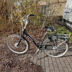 fiets Batavus Mambo Zwart, Fietsen en Brommers, Fietsen | Dames | Damesfietsen, Ophalen, Versnellingen, Batavus, 53 tot 56 cm