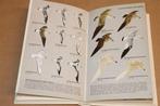 Elseviers Gids Europese Vogels — Noord-Afrika, Midden-Oosten, Ophalen of Verzenden, Gelezen, Vogels