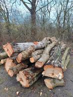 Boomstammen brandhout, Tuin en Terras, Haardhout, 3 tot 6 m³, Ophalen, Overige houtsoorten, Stammen
