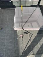 2 top forel sets voor slechts 50 euro, Ophalen of Verzenden, Zo goed als nieuw, Overige typen