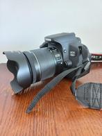 Canon eos 700D spiegelreflexcamera inclusief statief, lenzen, Fotograaf