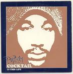 cd-single van Postmen - Cocktail, Ophalen of Verzenden, Zo goed als nieuw, Pop