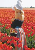 Monique Sluyter toont blote schouder in het tulpenveld, Verzenden, 1980 tot heden, Gelopen, Sterren en Beroemdheden