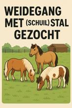 Weidegang met (schuil)stal gezocht, Weidegang