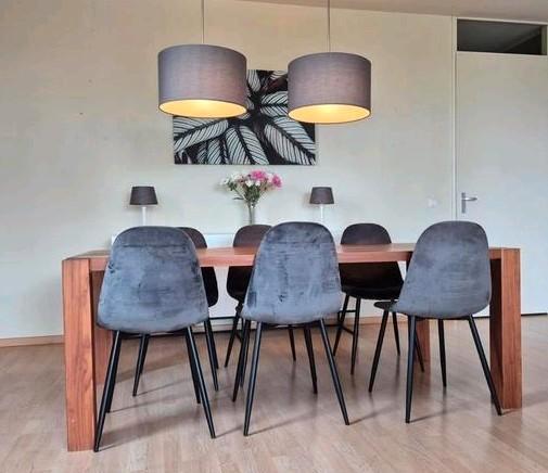 Set van 2 hanglampen - Grijs, Diffuus Licht, Huis en Inrichting, Lampen | Hanglampen, Minder dan 50 cm, Ophalen