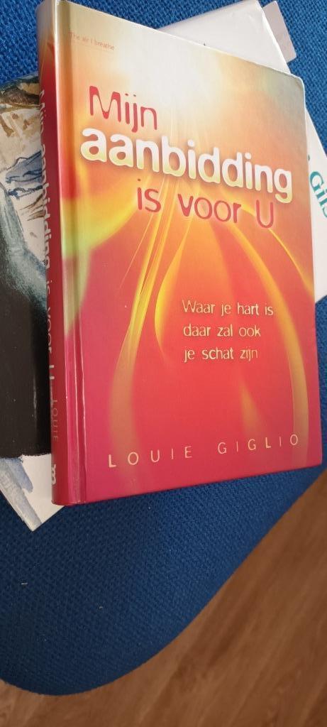 Louie Giglio - Mijn aanbidding is voor U, Boeken, Godsdienst en Theologie, Gelezen, Christendom | Protestants, Ophalen of Verzenden
