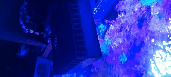 Red sea reef led 50, Dieren en Toebehoren, Vissen | Aquaria en Toebehoren, Zo goed als nieuw, Verlichting of Verwarming, Ophalen of Verzenden