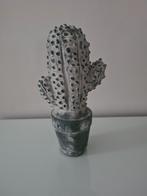 grijze stenen cactus, Ophalen