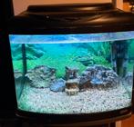 Compleet aquarium met onderkast!, Dieren en Toebehoren, Ophalen, Zo goed als nieuw, Leeg aquarium