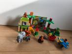 Duplo jungle set 10804, Kinderen en Baby's, Speelgoed | Duplo en Lego, Ophalen of Verzenden, Zo goed als nieuw, Complete set, Duplo