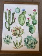 Cactus en Succulenten Print Houten Lijst canvas schoolplaat, Ophalen of Verzenden, Zo goed als nieuw, Print, 50 tot 75 cm