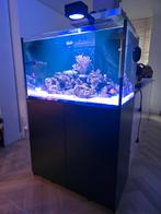 Red sea reefer 250g2+ volle garantie + facturen, Ophalen, Zo goed als nieuw, Gevuld zeewateraquarium