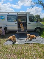 ZELFRIJDER , Mercedes-Benz Sprinter 2.7 216 CDI AUT 2005, Buscamper of Camperbus, Mercedes-Benz, Diesel, Particulier