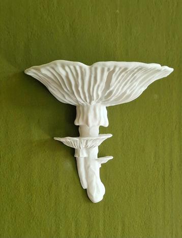 Uniek en sfeervol "Amanita fungus"wandplankje  beschikbaar voor biedingen